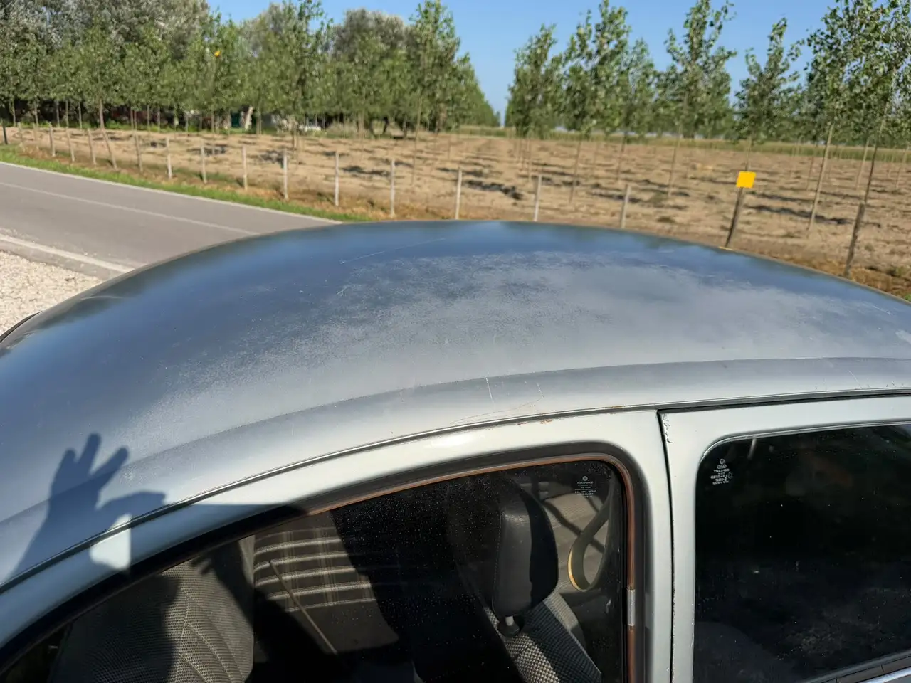 Volkswagen Maggiolino 1.2 L (messico), foto 4