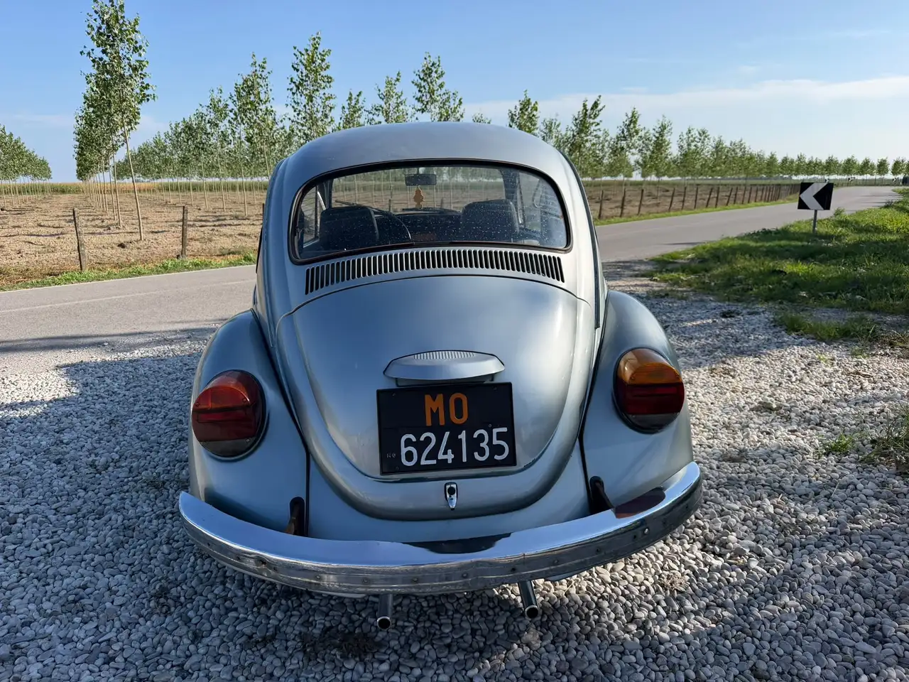 Volkswagen Maggiolino 1.2 L (messico), foto 3