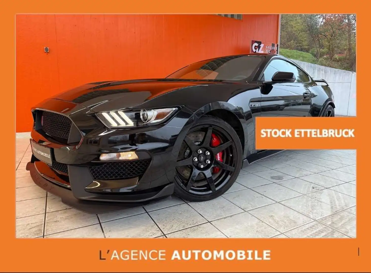 Ford Mustang Original SHELBY GT 350R 1 of 7 Grijs - 1