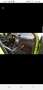Ford Focus 2.5T - 305 RS - thumbnail 4