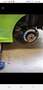 Ford Focus 2.5T - 305 RS - thumbnail 2