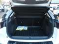 Citroen C4 Hybrid 145PS Lim. Collection Weiß - thumbnail 17