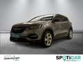 Opel Grandland X 120 Jahre inkl. hzb. Frontscheibe / AHK / Kamera Grijs - thumbnail 1