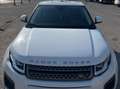 Land Rover Range Rover Evoque Range Rover Evoque 2.0TD4 Pure 4WD 150 Pure Blanco - thumbnail 7