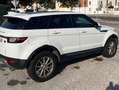 Land Rover Range Rover Evoque Range Rover Evoque 2.0TD4 Pure 4WD 150 Pure Blanco - thumbnail 8