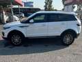Land Rover Range Rover Evoque Range Rover Evoque 2.0TD4 Pure 4WD 150 Pure Blanco - thumbnail 1