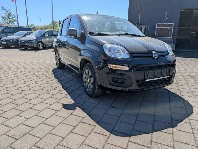 Fiat Panda Young