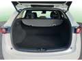 Mazda CX-5 2.0 Zenith 2WD 121kW Blanco - thumbnail 22