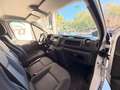 Fiat Talento 1.2 LX Largo 2.0 EcoJet 107 kW 145 CV Blanco - thumbnail 18