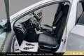 Hyundai i30 1,4 CVVT Europe Plus //TOP-ZUSTAND//KLIMA//PDC/... Silber - thumbnail 12