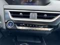 Lexus UX 300e LED, DAB, Tempomat, BT Schwarz - thumbnail 14
