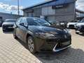 Lexus UX 300e LED, DAB, Tempomat, BT Schwarz - thumbnail 3
