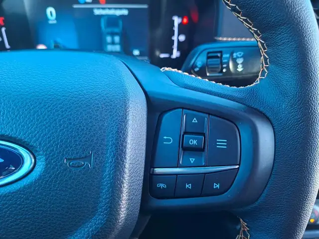 Ford Ranger Wildtrak e-4WD Doppelkabine * ROLLO * 20" RÄDER Ansicht 37