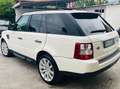 Land Rover Range Rover Sport 3.6 tdV8 SE Plus auto Bianco - thumbnail 4