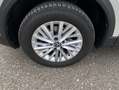 Volkswagen T-Roc 1.5 TSI DSG Life NAVI+LED+AHK+APP-CONNECT+ Grau - thumbnail 10