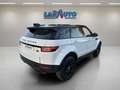 Land Rover Range Rover Evoque 2.0L TD4 132kW 180CV 4x4 SE Auto Blanco - thumbnail 6