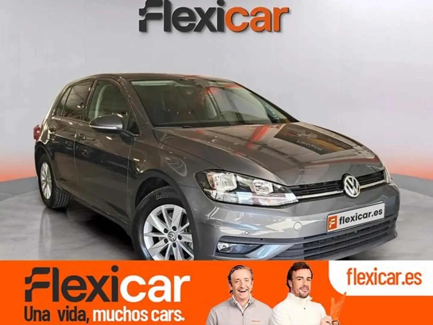 Volkswagen Golf 1.6TDI Advance 85kW Gris - 1