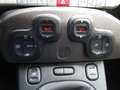 Fiat Panda Panda CROSS  Turbo Easy 85cv E6 Gris - thumbnail 14