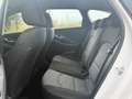 Hyundai i30 1.6 CRDi Premium Automatik sehr gute Ausstattung Weiß - thumbnail 17