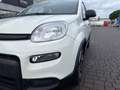 Fiat New Panda Panda 1.0 firefly hybrid City Life s&s 70cv Bianco - thumbnail 6