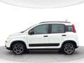 Fiat New Panda Panda 1.0 firefly hybrid City Life s&s 70cv Bianco - thumbnail 2