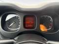 Fiat New Panda Panda 1.0 firefly hybrid City Life s&s 70cv Bianco - thumbnail 10