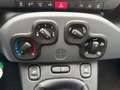 Fiat New Panda Panda 1.0 firefly hybrid City Life s&s 70cv Bianco - thumbnail 12