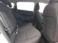 Hyundai i20 MJ24 1.0T iMT 120PS  Prime 48V Dachlack Bianco - thumbnail 12