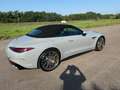 Mercedes-Benz SL 63 AMG AMG SL63 Premium Plus 4matic+ IVA ESPOSTA Gris - thumbnail 5