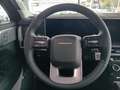 Hyundai SANTA FE HEV 1.6 T-GDI 6-AT 4WD SIGNATURE Komfort-Paket Grün - thumbnail 14