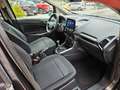 Ford EcoSport 1.0 EcoBoost 100 CV Connect Gri - thumbnail 7