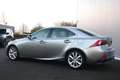 Lexus IS 300 300h Hybrid Sport Edition 25th Gris - thumbnail 7