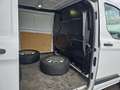 Ford Transit Custom Transit Custom 2,0 TDCI L2H1 290 Trend Weiß - thumbnail 12