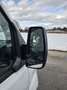 Ford Transit Custom Transit Custom 2,0 TDCI L2H1 290 Trend Weiß - thumbnail 8
