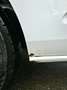 Ford Transit Custom Transit Custom 2,0 TDCI L2H1 290 Trend Weiß - thumbnail 49
