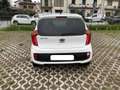 Kia Picanto SPORTY GLAM Bianco - thumbnail 4