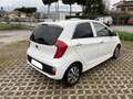 Kia Picanto SPORTY GLAM Bianco - thumbnail 5