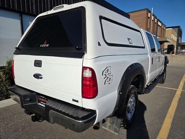Image 7