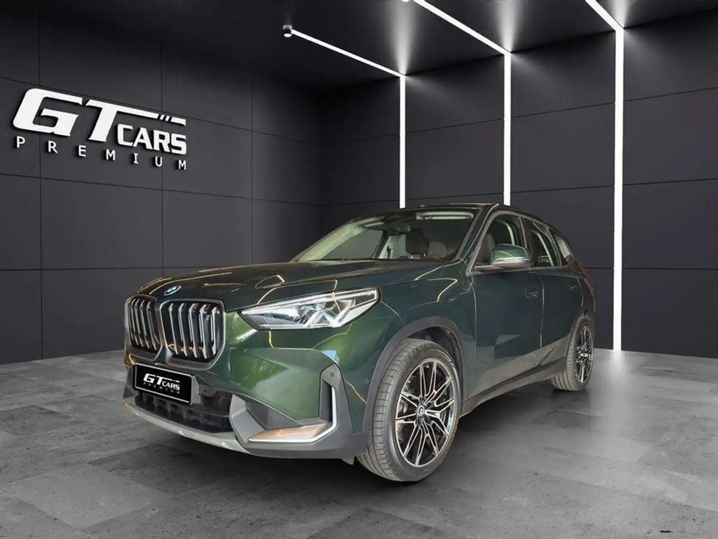 BMW X1 xDrive30 Grün - 2