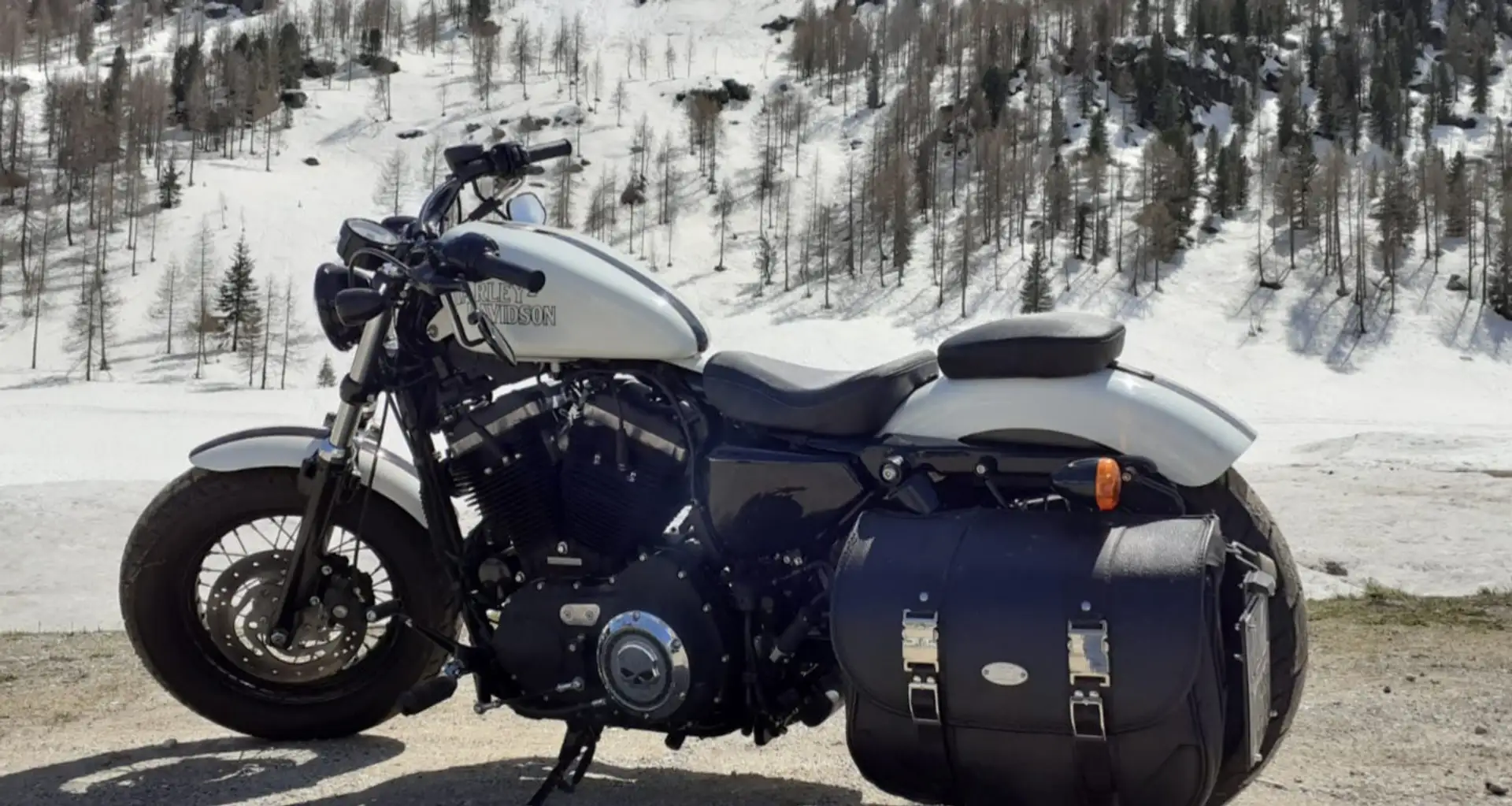 Harley-Davidson Sportster Forty Eight Bílá - 1