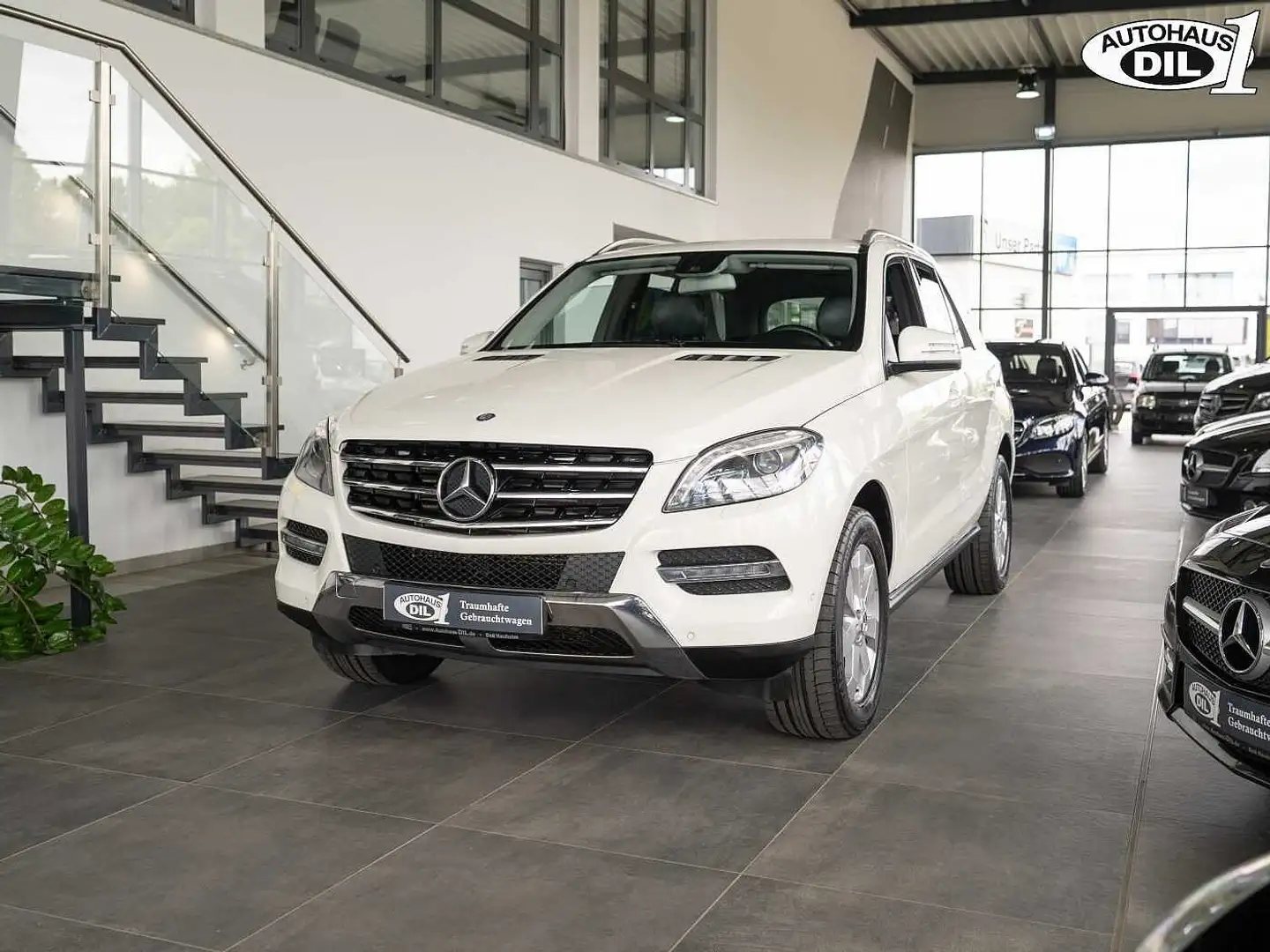 Mercedes-Benz ML 250 BlueTEC 4MATIC *RFK*ILS*SHZ* Alb - 2