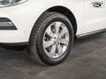 Mercedes-Benz ML 250 BlueTEC 4MATIC *RFK*ILS*SHZ* Alb - thumbnail 7