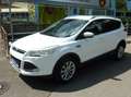 Ford Kuga 2.0 TDCi 4x4 Titanium Weiß - thumbnail 1