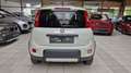 Fiat Panda 4x4 1.3JTD75 Rock Weiß - thumbnail 6