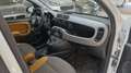 Fiat Panda 4x4 1.3JTD75 Rock Weiß - thumbnail 14