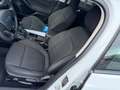 Ford Focus Turnier Active 1.5EcoBoost 110KW Navi/LED Blanc - thumbnail 10