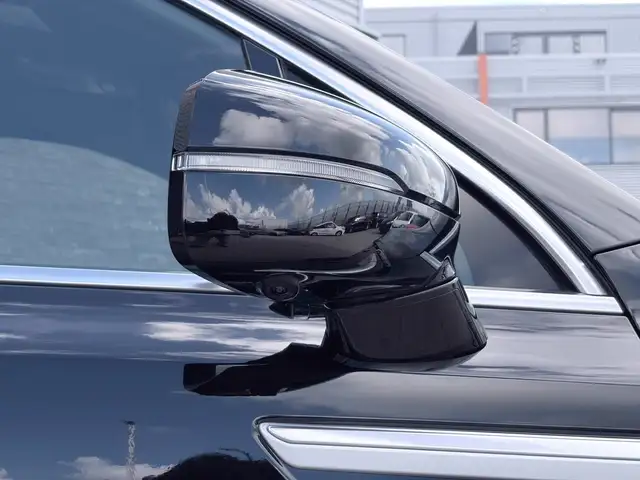 Kia Sorento view 11