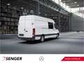 Mercedes-Benz Sprinter 519 CDI KA L3H2 Standhzg REGALE AHK3,5t Weiß - thumbnail 4