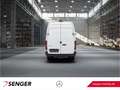 Mercedes-Benz Sprinter 519 CDI KA L3H2 Standhzg REGALE AHK3,5t Weiß - thumbnail 6