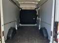 Ford Transit Kasten Trend 350L3H3 *EXPRESS-LINE-PAKET* Weiß - thumbnail 16